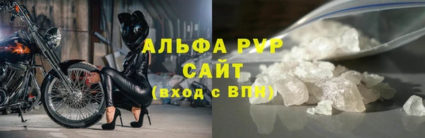 сатива Нестеровская