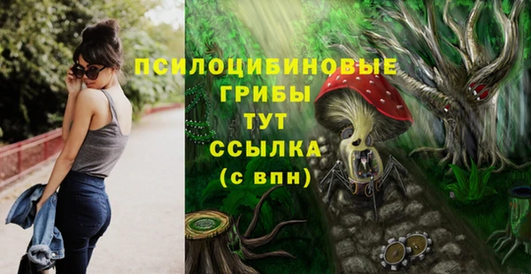мяу мяу мука Касимов