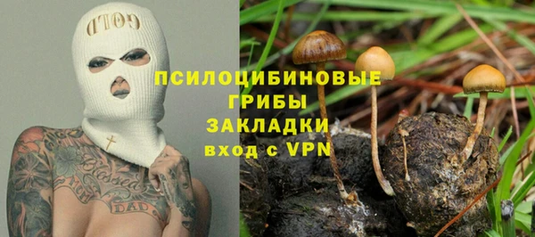 хмурый Карталы