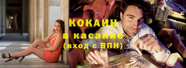 мяу мяу мука Касимов