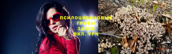 хмурый Карталы