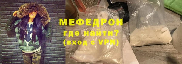 индика Каменногорск