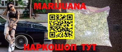 бошки Шелехов