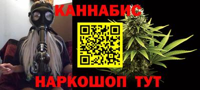 бошки Шелехов